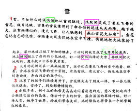 发挥的近义词是什么