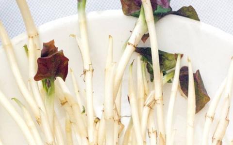 耳根全部小说的阅读顺序是什么