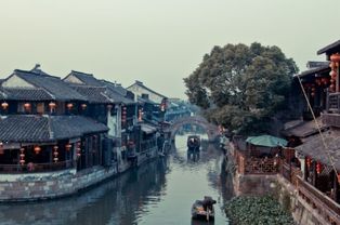 春来湖水绿如蓝的前一句是什么