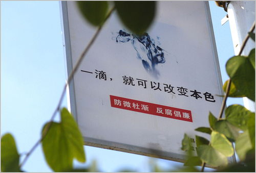 致的组词有哪些