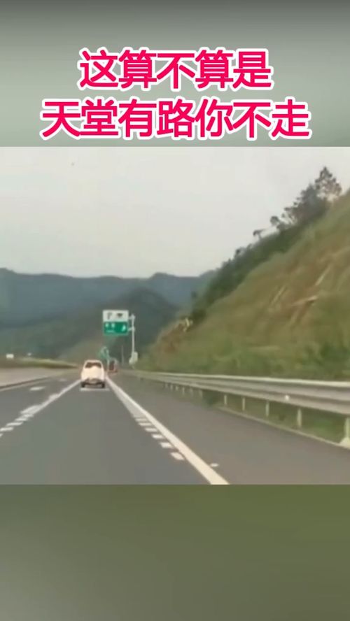 有路就不会遥远作文600字，有路就不会遥远