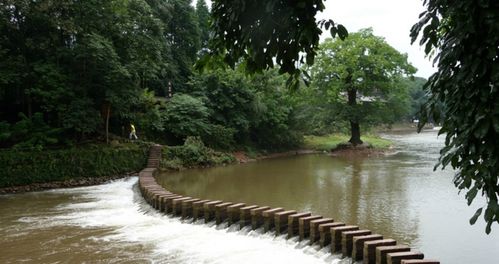 瓦屋山门票多少钱?优惠政策?第二次入场攻略