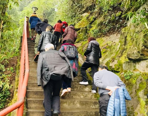 年过花甲什么意思