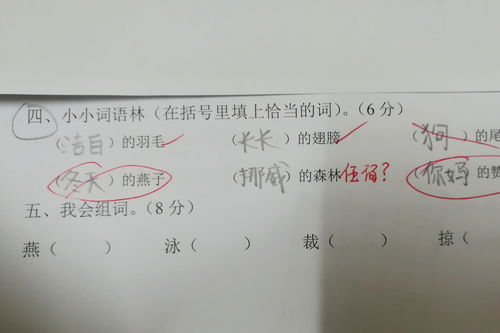 质量的质组词有哪些