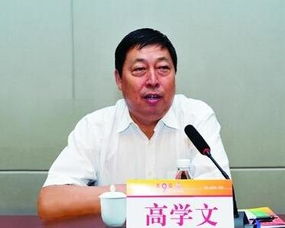 高学文剑峰，高学文化