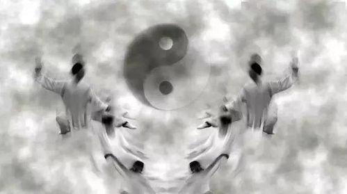 能量流动的概念 能量流动的概念简述