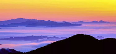落叶满空山的景象里蕴含着怎样的情感，落叶满空林