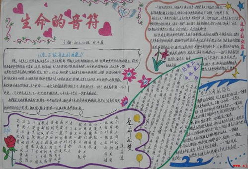 珍爱生命呵护健康的手抄报 珍爱生命手抄报