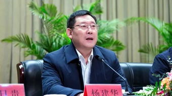 杨建华是丹青巨匠吗