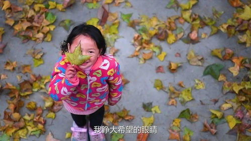 江作青罗带全诗，江作青罗带山如碧玉簪是韩愈赞美哪座城市的景色