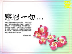 感恩的名人名言及事例，感恩的名人名言英语