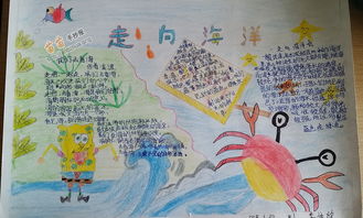 海底世界手抄报精美好看5张