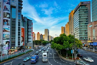 上海的变化作文600字，改革开放以来上海的变化