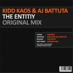 entity是什么意思?