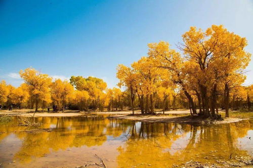 二道桥清真寺，二道桥温泉