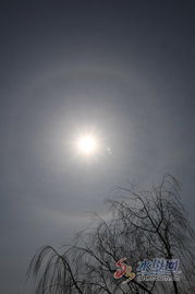 上空符号，上空间艺术中心