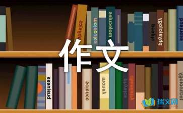 一件有趣的事情作文300字