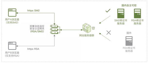 舌灿莲花，shecanswim是什么意思