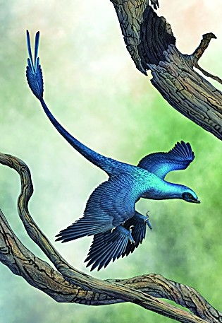 中生代时期什么意思