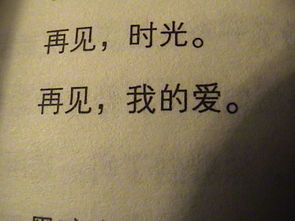陈柏霖我不会喜欢你的歌词