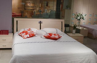 诺捷家具的质量诺捷家具介绍