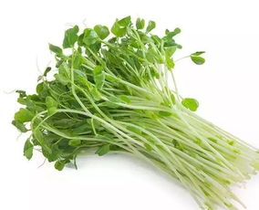 豌豆苗怎么做好吃，豌豆苗活发固阳复合粉的作用