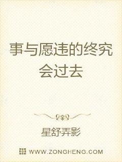 事与愿违是什么意思