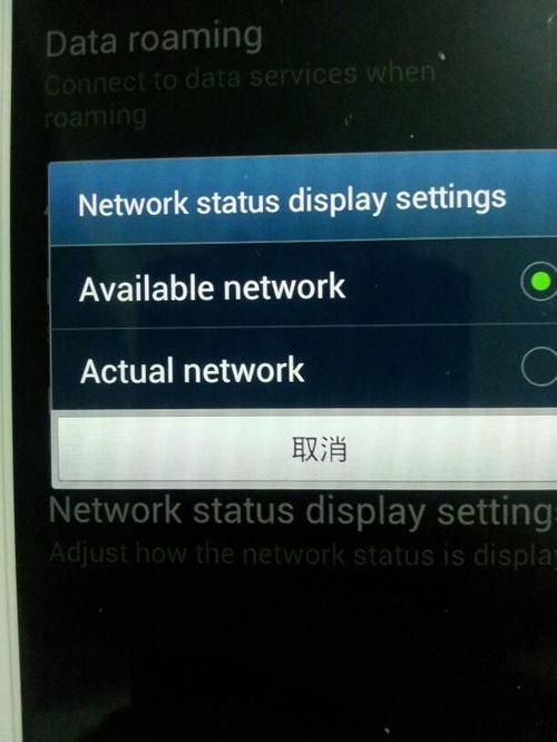 setting是什么意思?