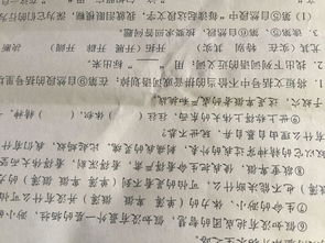 实施的近义词和反义词标准答案