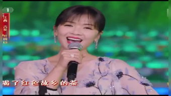 请茶歌的介绍