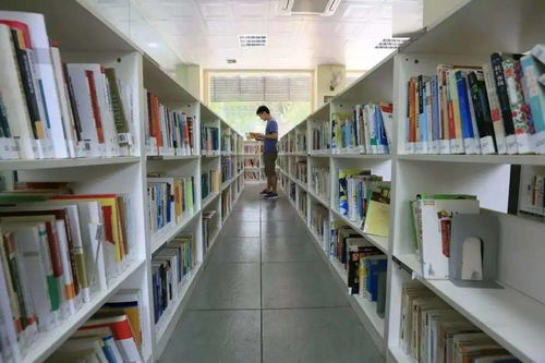 二年级还书该怎么回答