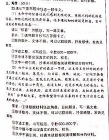 意外的惊喜600字作文5篇