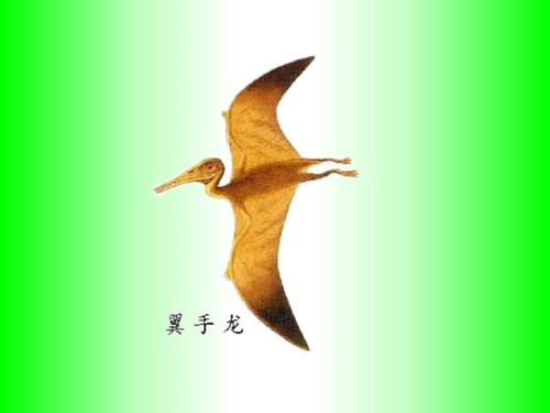 繁衍的反义词是什么 标准答案，繁衍的反义词义词