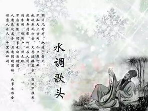 《水调歌头》全诗内容是什么?