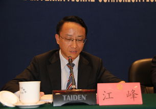 江峰唐依依是哪个小说