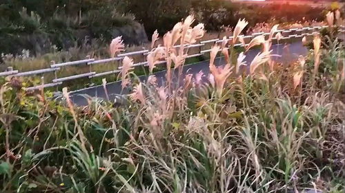 地生中考成绩查询网站入口2023，地生会考成绩查询入口网站2023