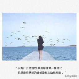 孙楠缘份的天空歌词意思,缘分天空 歌词