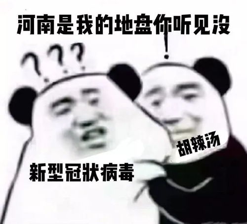 英文翻译这是我的地盘，这是我的地盘王鹤棣