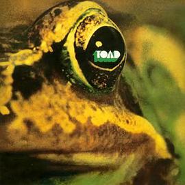 toad怎么读，toad in the hole翻译