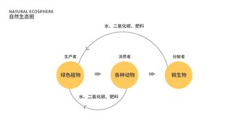 什么是认识论认识论的简介