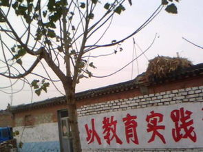 随笔100字大全30篇可抄，随笔100字初中写景