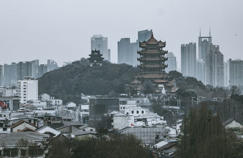 矗立的读音是什么