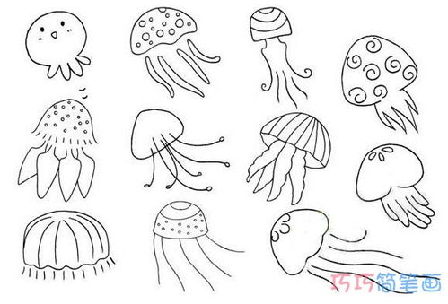 水母怎样画