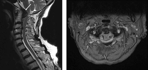 cppdcc网站查询，cppd什么意思网络流行语