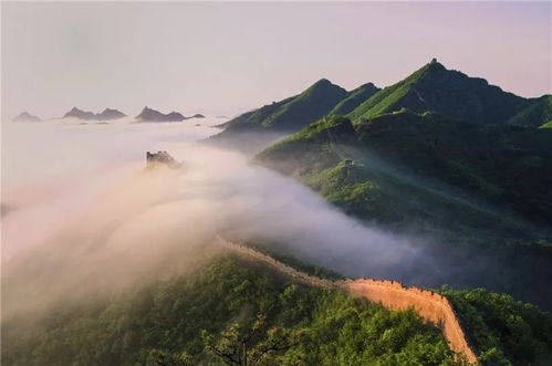 天高地阔的意思是什么 标准答案
