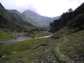 刘青云的电影追女仔95之绮梦哪里有?