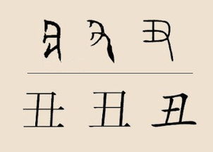 丑姓全国有多少人口，丑姓怎么取名