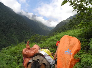 哇嘎立马斯，哇嘎画时代手机版官方下载手机版