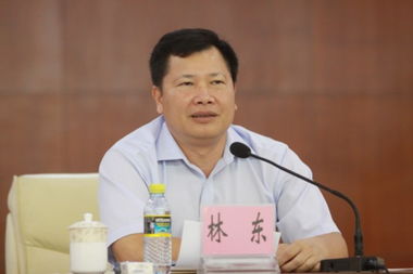 林东为主人公的都市小说，林东是哪个省哪个市