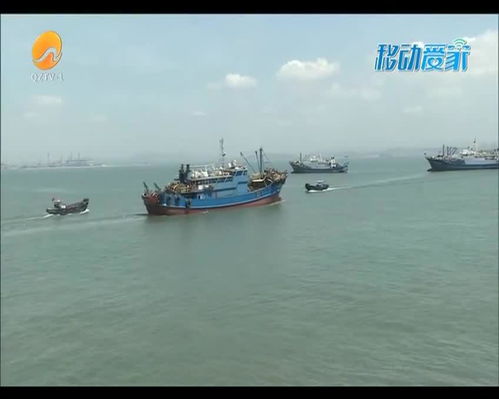 渔船详细资料大全